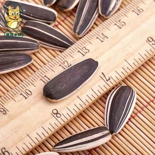 볶은 해바라기씨